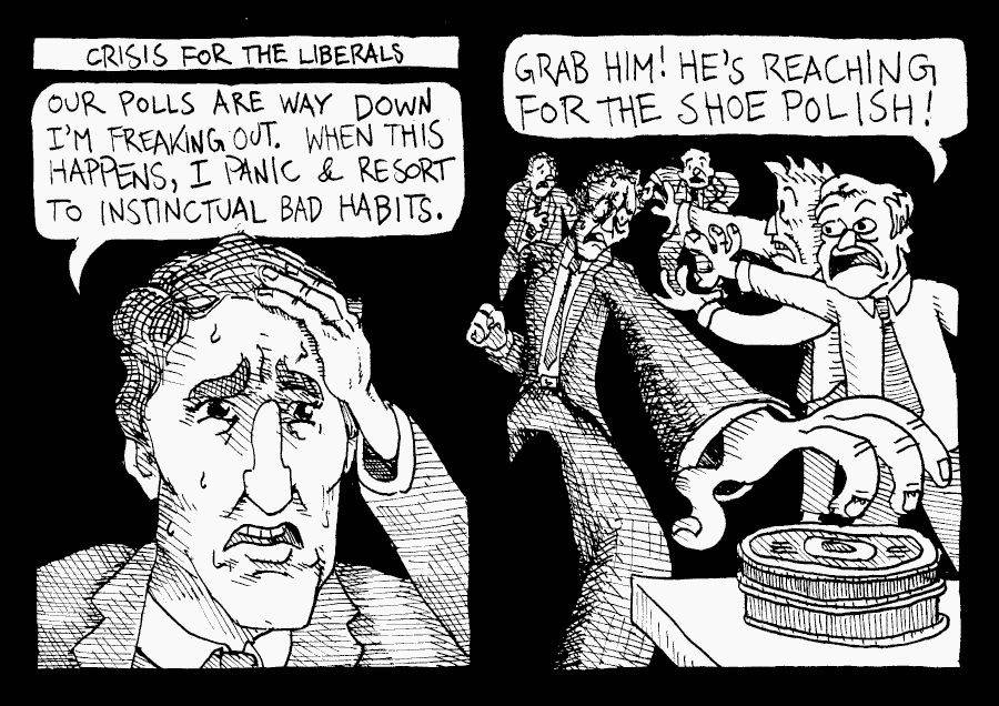 Trudeau Snap Election
