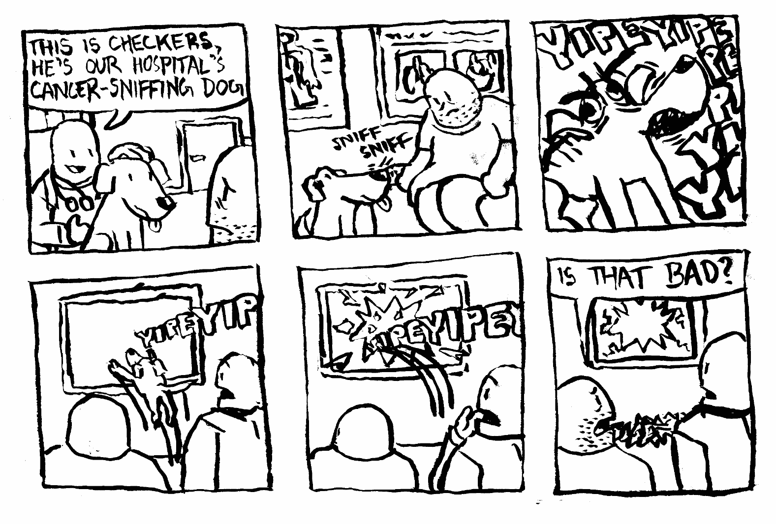 cancer sniffing dog hospital doctor yipe bark crash through window is that bad