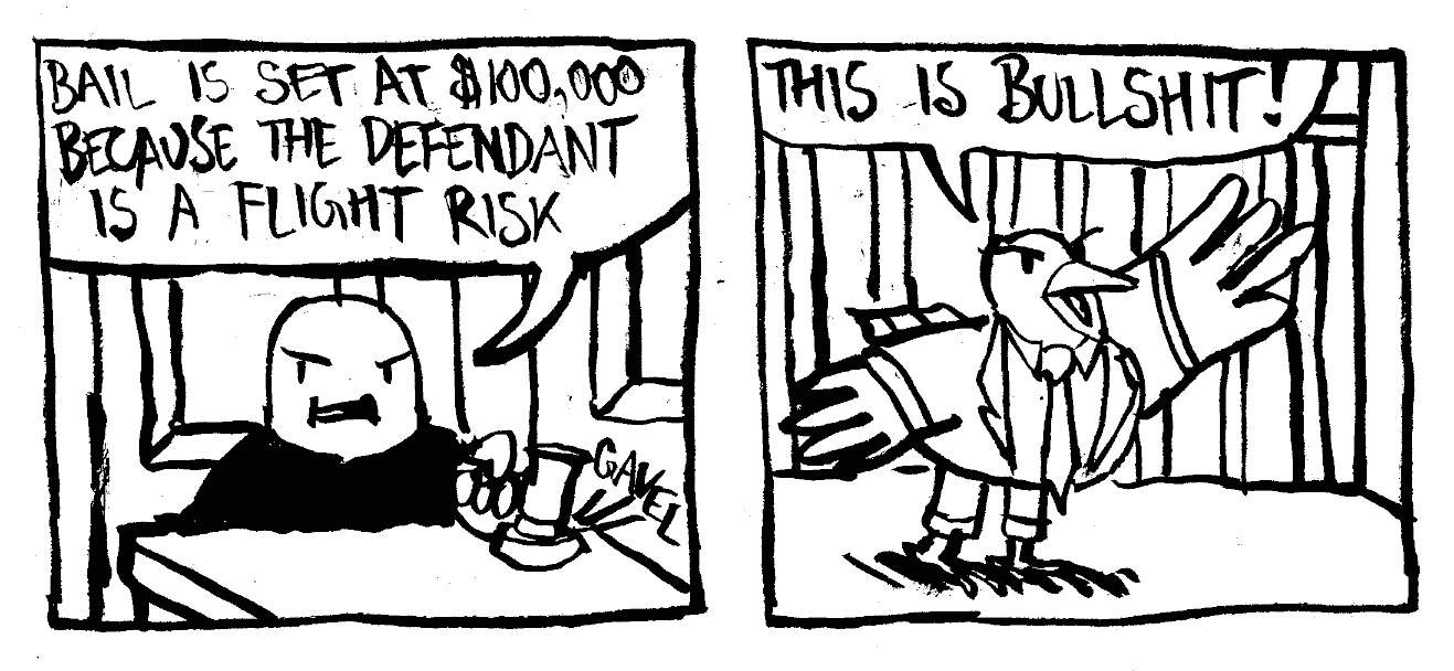 bird as defendant judge sentencing bail set at this is bullshit stereotyping criminal justice system